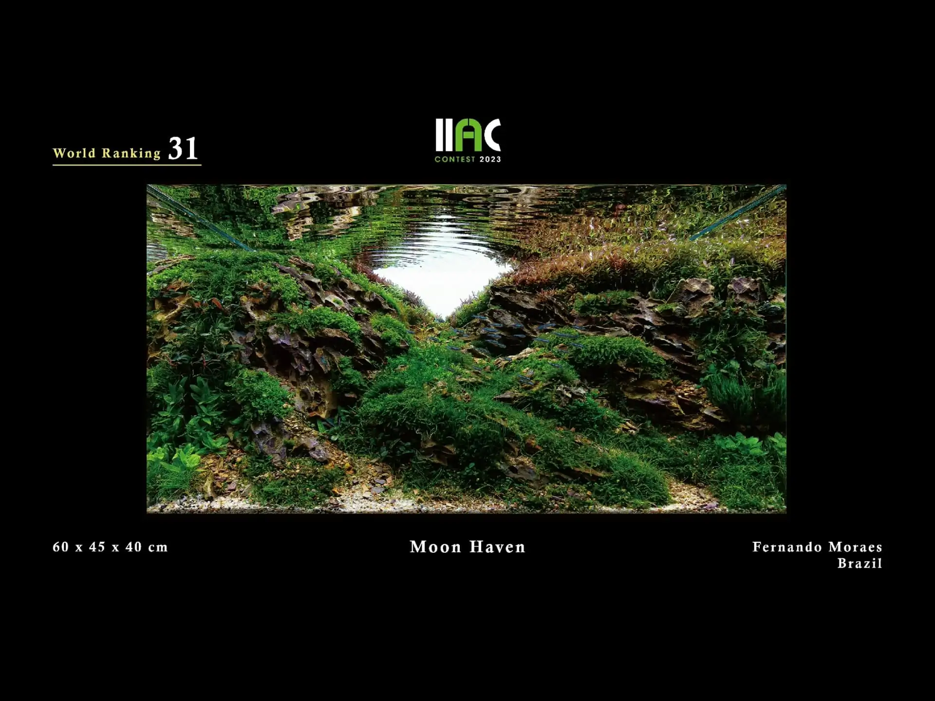 Moon Haven - IIAC 2023 #31 Fernando Moraes / Brazil